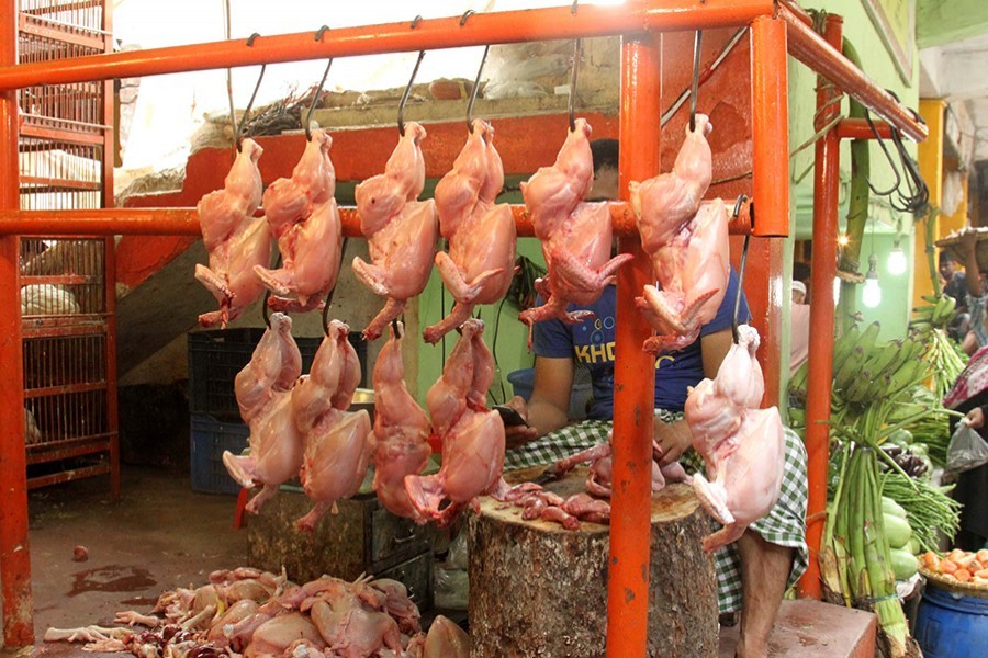 Undressed chicken seen hanging from hooks in city's Kaptan Bazar — Focus Bangla/Files