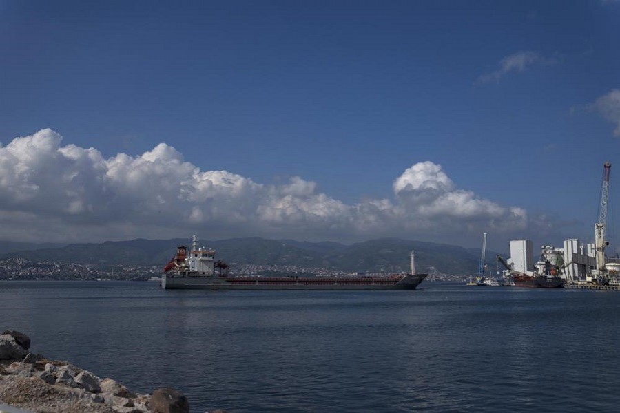 Ship carrying grain from Ukraine arrives in Turkey