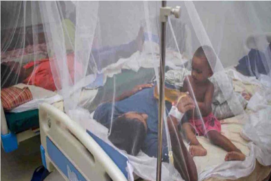 53 new dengue patients hospitalised in 24 hrs