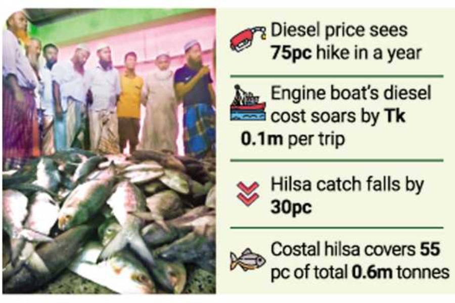 Costly diesel, low catch hit fishers, consumers