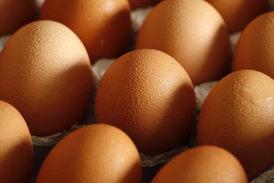Farm egg price hits record high