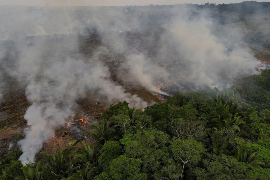 Smoke from a fire rises into the air as trees burn amongst vegetation in Brazil's Amazon rainforest, in Apui, Amazonas state, Brazil, September 5, 2021. Picture taken with a drone September 5, 2021. REUTERS/Bruno Kelly