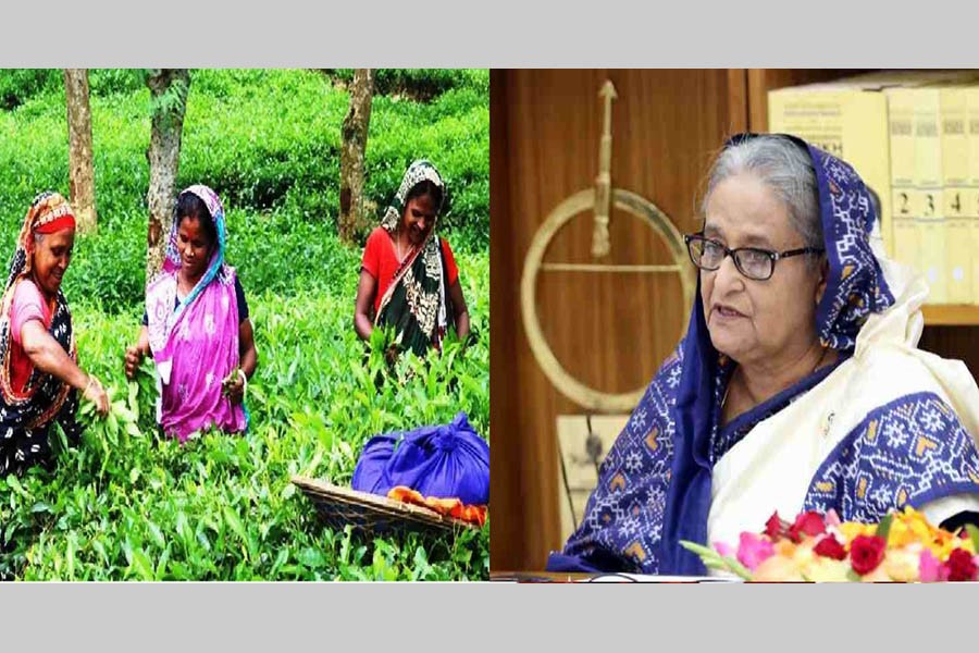 PM calls for further development of tea industry