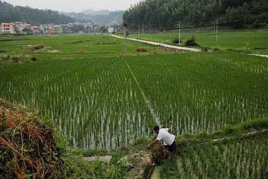 ছবি: রয়টার্স