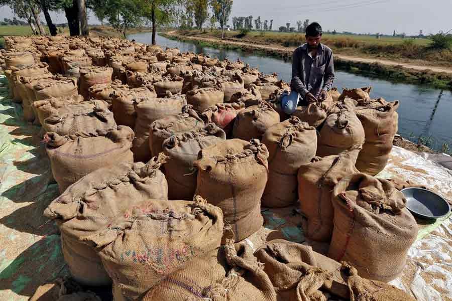 A worker packing a sack filled with rice on the outskirts of the western Indian city of Ahmedabad on February 27 in 2015 –Reuters file photo