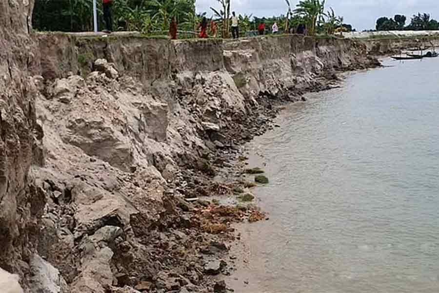 Padma, Madhumati rivers continue to erode Faridpur farmlands, houses