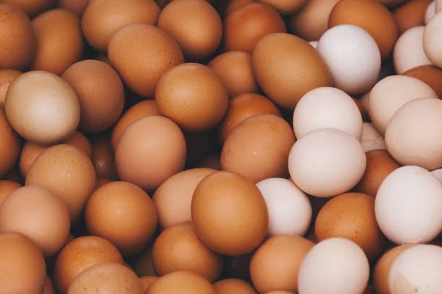 No need to import eggs: Agriculture Minister