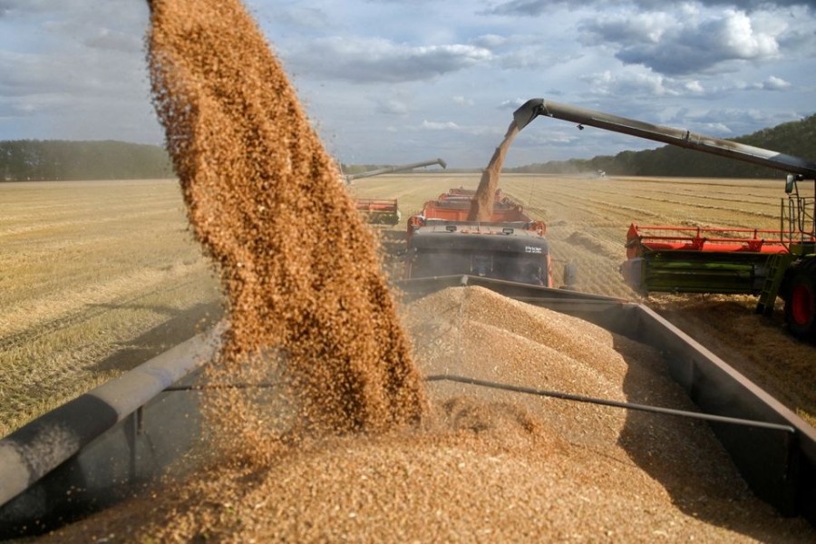 Combines load wheat into trucks in a field during harvest near the village of Solyanoye in the Omsk region, Russia September 8, 2022. REUTERS/Alexey Malgavko
