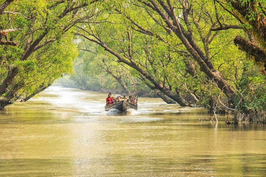 Four new eco-tourism spots to be developed at Sundarbans