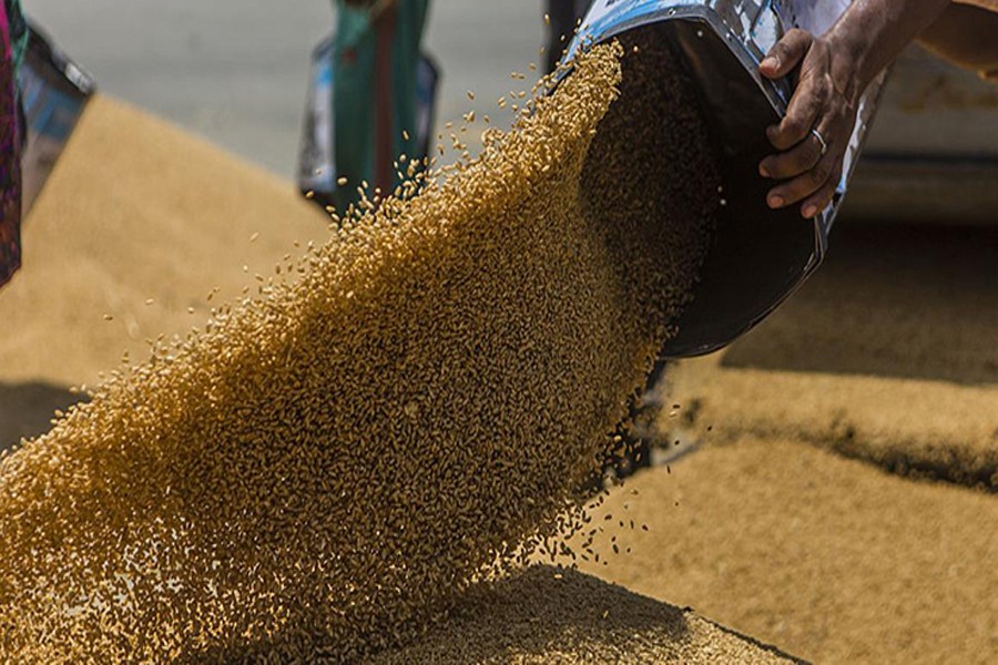 Q1 sees sharp fall in wheat import