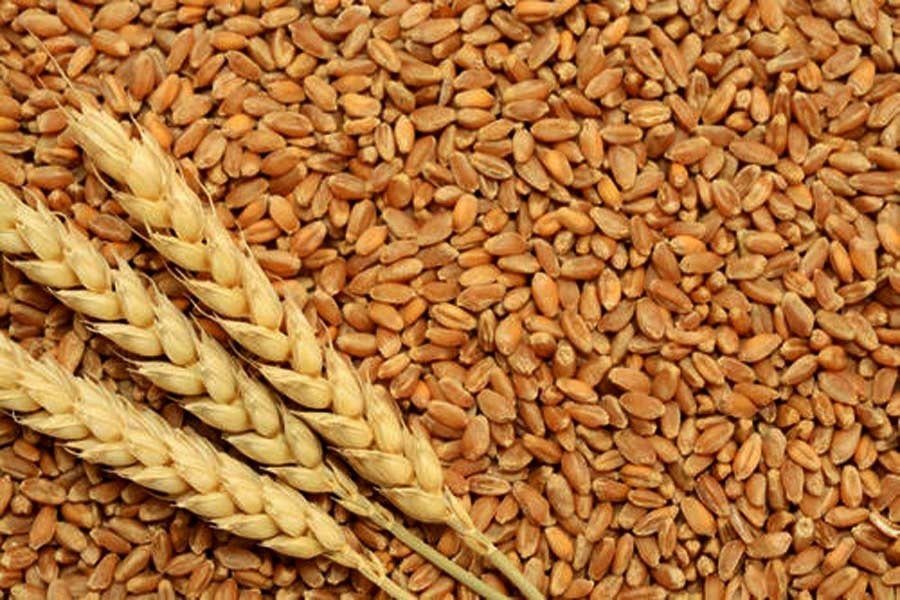 Price volatility of wheat