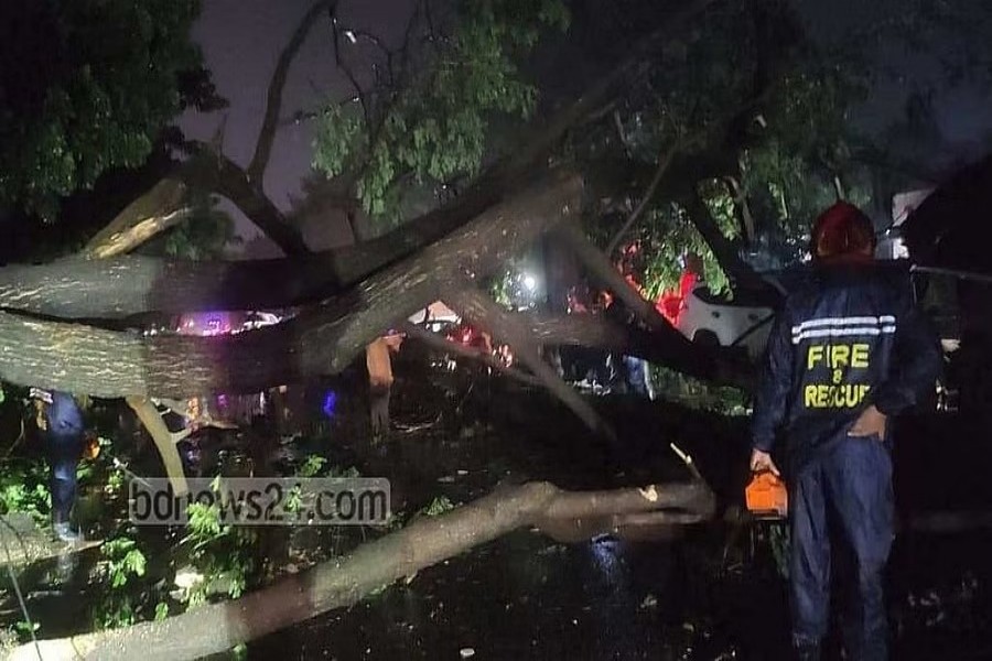 Fallen trees block traffic on Dhaka-Chattogram highway for 2.5 hours during cyclone