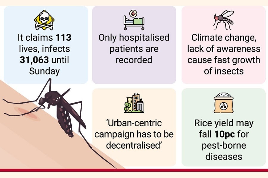 Dengue creating havoc, may spread more