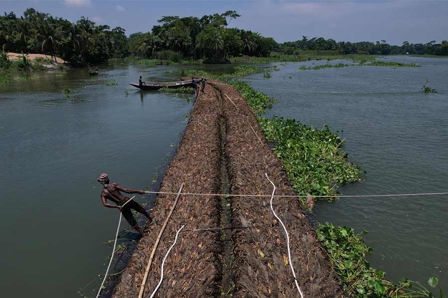 A man holding a rope as people transport floating beds towards a floating farm through Belua river in Pirojpur –Reuters photo