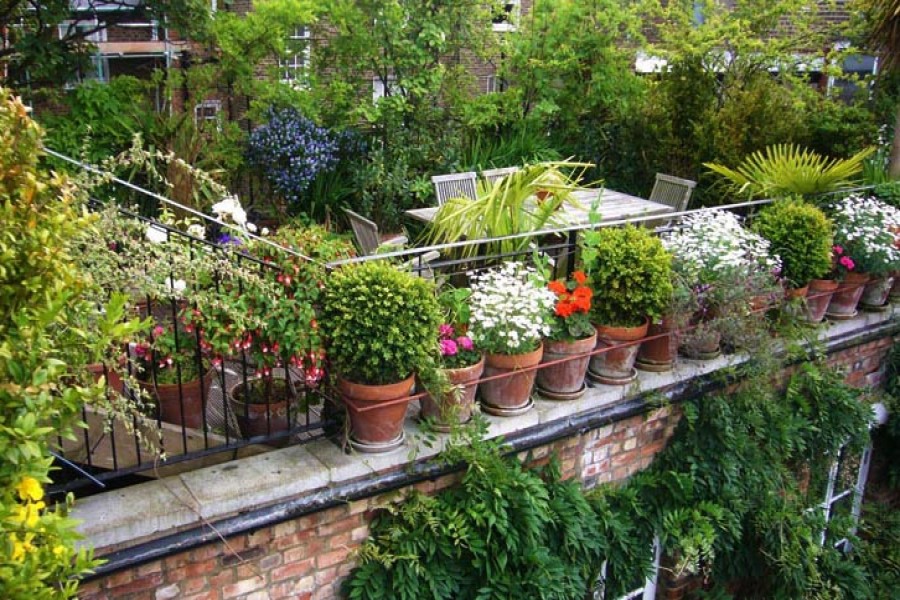 Economic, environmental and other  benefits of urban gardening