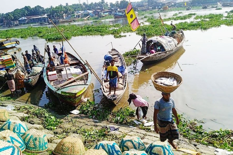 Fish boats in the Boro Station Fish Ghat on Saturday — FE Photo