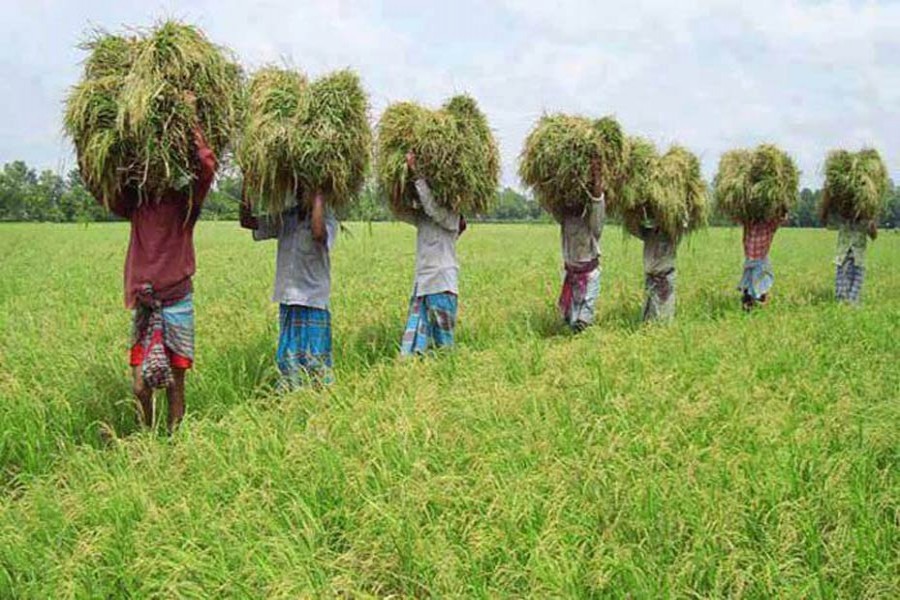 ফাইল ছবি (সংগৃহীত)