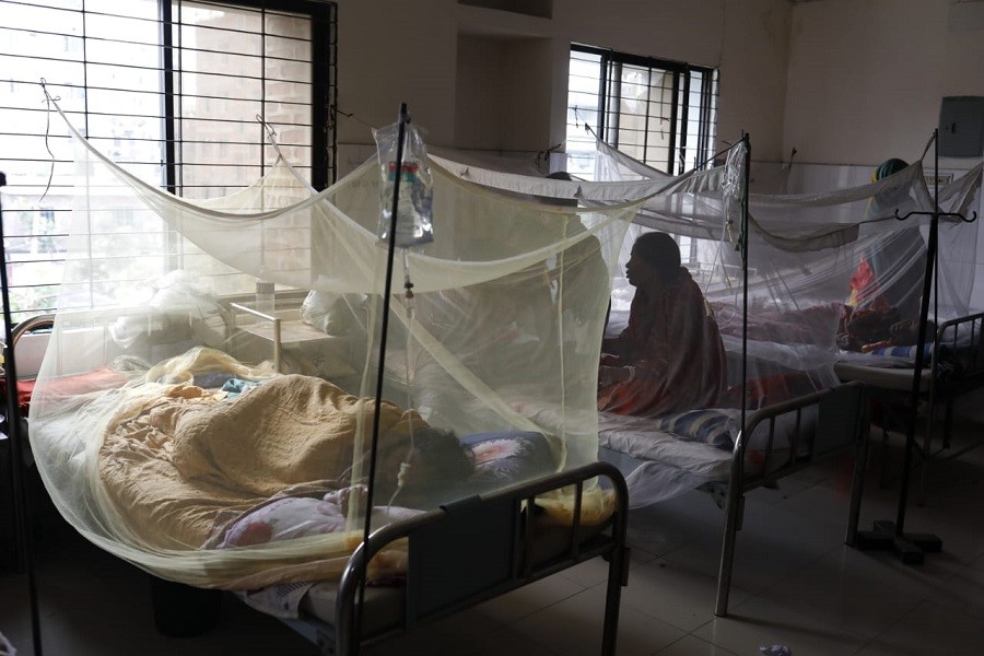 Nine more dengue patients die, highest single-day deaths this year