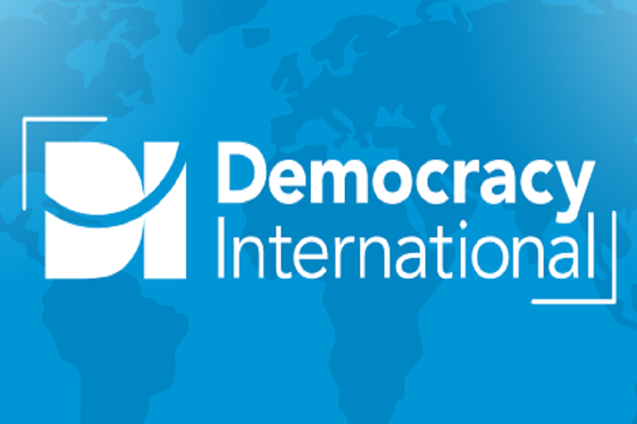 Democracy International is looking for a Consultant