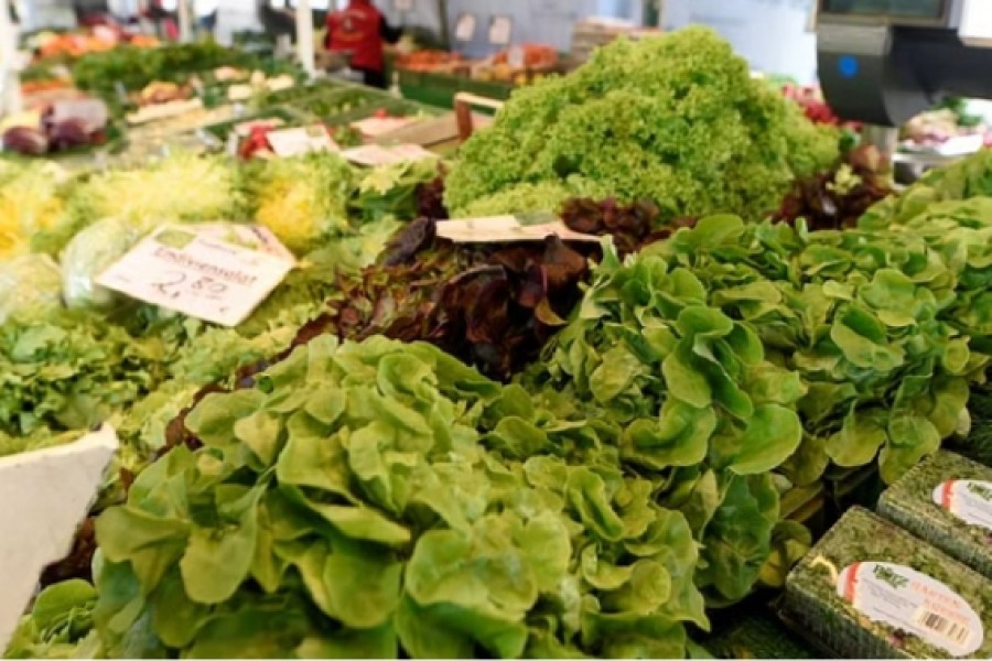 Salads and vegetables are offered on a farmer's market during the outbreak of coronavirus disease (COVID-19) in Hamburg, Germany, Mar 17, 2020. REUTERS