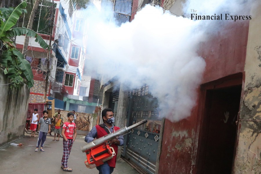 Three more die of dengue, 237 hospitalised in 24 hours