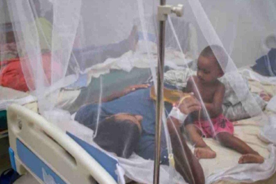 220 more Dengue patients hospitalised in 24 hrs