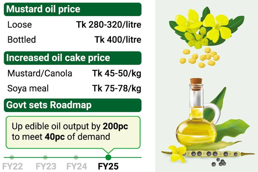 Higher demand increases acreage of oil seeds