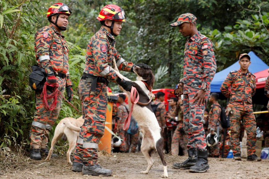 A rescuer crew member pats a sniffer dog being used to aid in the search for victims of the landslide in Batang Kali, Selangor, Malaysia, December 17, 2022. REUTERS/Hasnoor Hussain