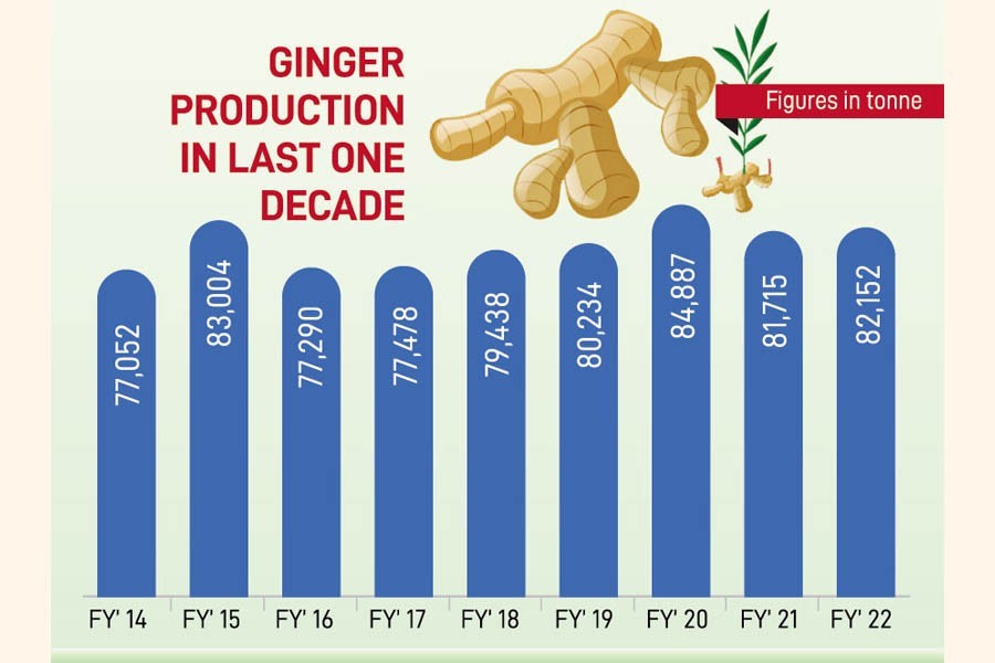 Ginger output stuck at 80k tonnes