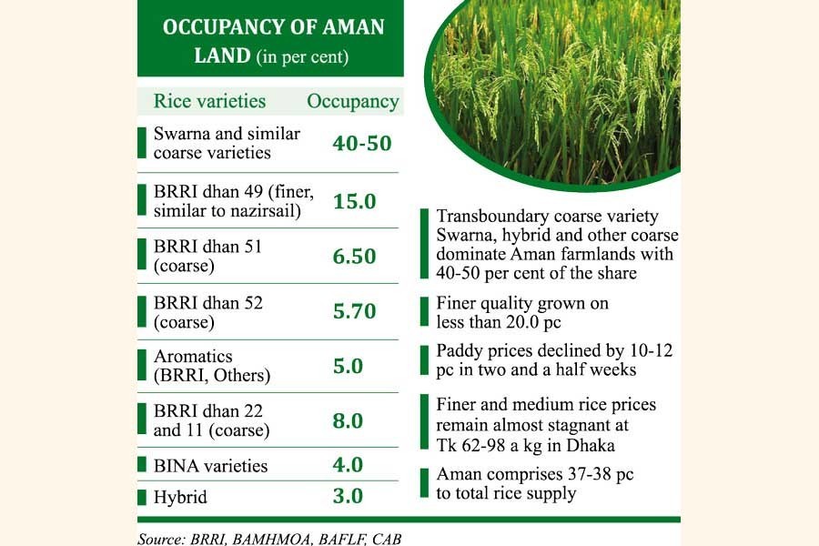 Paddy price drops but rice remains high