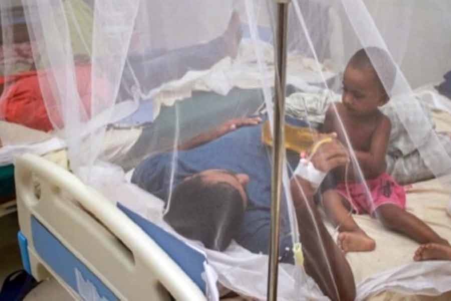 Two dengue patients die, 14 hospitalised in 24 hours