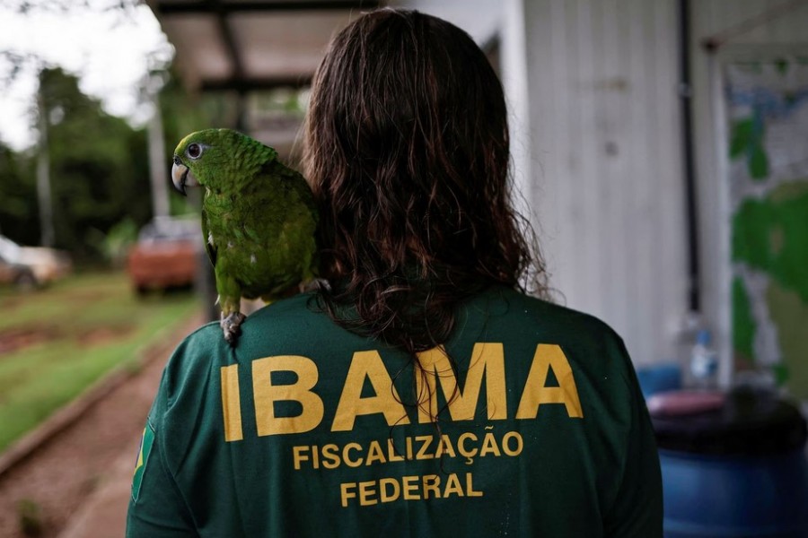 An agent of the Brazilian Institute for the Environment and Renewable Natural Resources (IBAMA) gets ready before going to an operation to combat of deforestation, in Uruara, Para State, Brazil January 19, 2023. REUTERS/Ueslei Marcelino