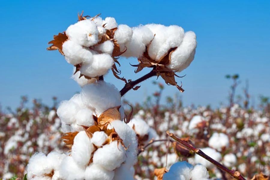 Commerce minister seeks duty-free cotton from USA
