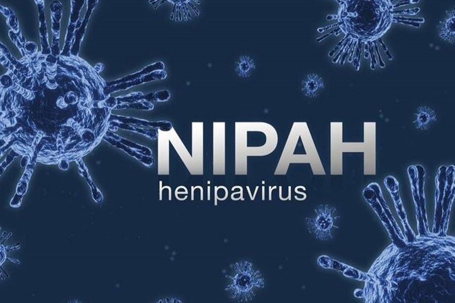 Nipah virus spreads over 28 districts