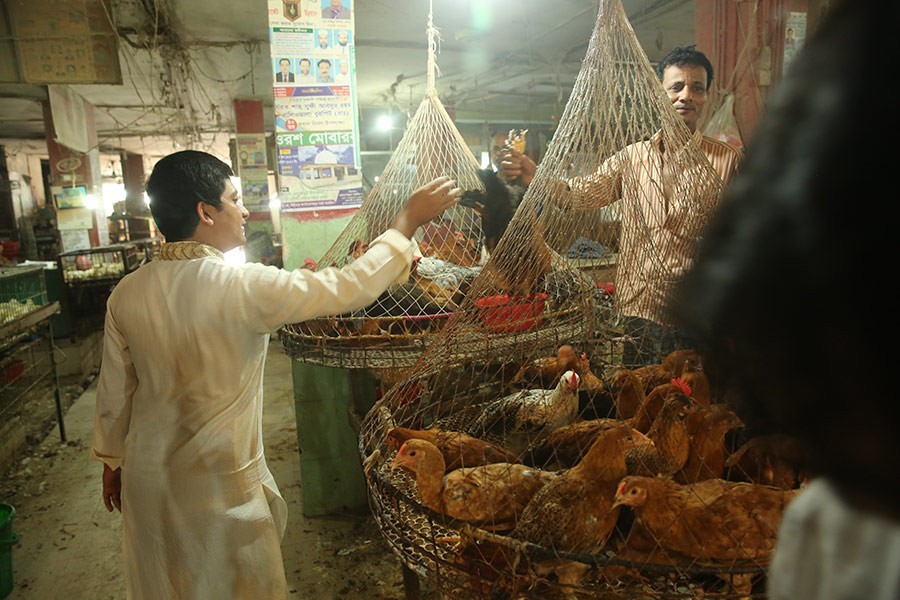 Chicken, beef prices fly high, beyond commoners’ reach