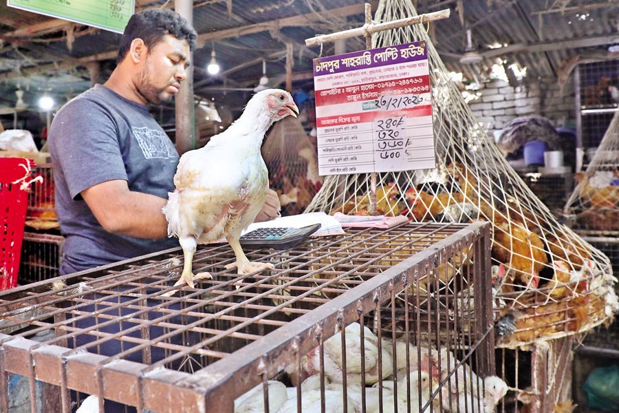 A poultry shop puts up a price chart at the Hatirpul kitchen market in the city on Thursday. The rising price of broiler chicken continues to burn a hole in the pockets of consumers — FE photo by Shafiqul Alam