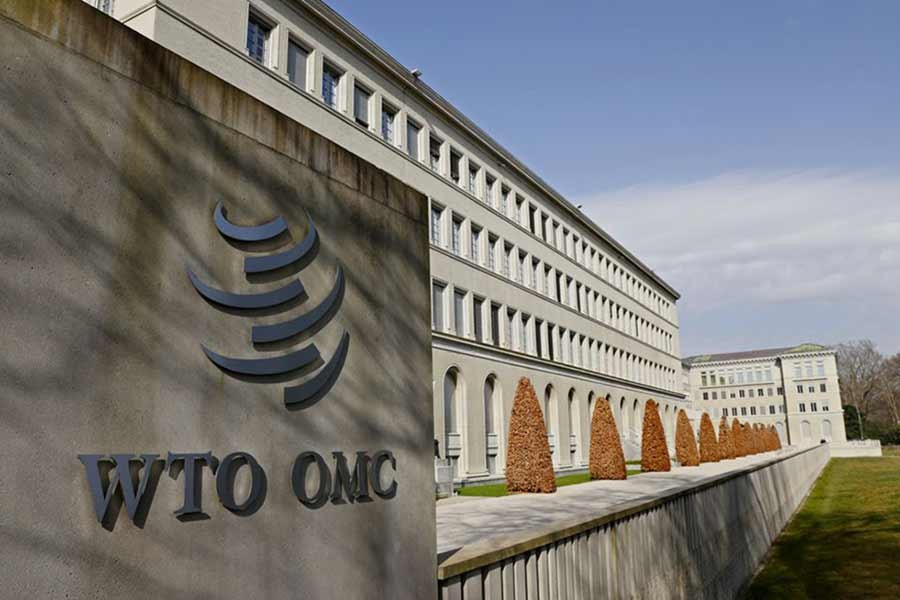 Ukraine war’s impact on global trade not as bad as expected: WTO